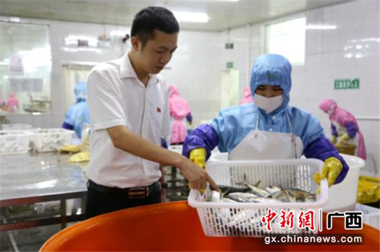 邮储银行沙巴体育投注区分行积极支持面向东盟国家海产进出口企业融资,促进企业发展 邮储银行沙巴体育投注区分行积极支持面向东盟国家海产进出口企业融资,促进企业发展