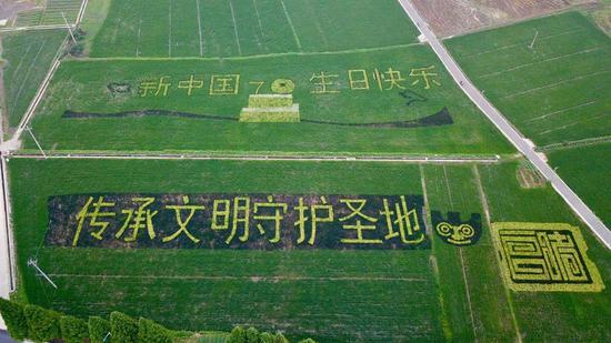 杭州建德的“彩色稻田”。  建宣 摄