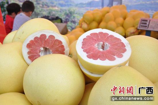 圖為環江紅心香柚。張林霞 攝 圖為環江紅心香柚。張林霞 攝