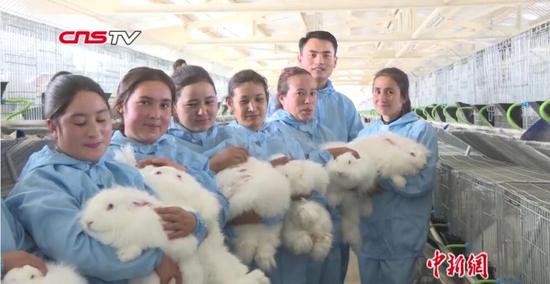 “玉都”变“兔乡”：兔产业助力新疆和田农民脱贫