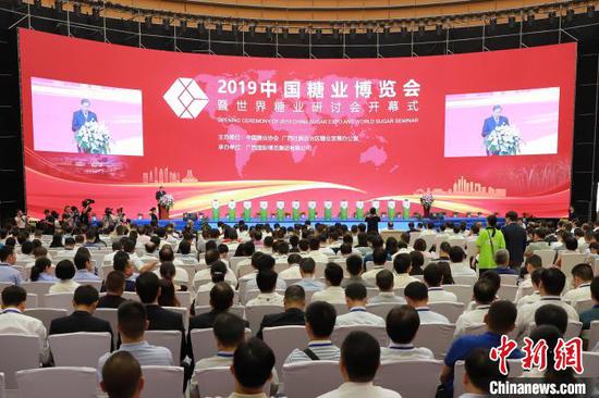 2019中国糖业博览会暨世界糖业研讨会在广西举行。 钟欣 摄 2019中国糖业博览会暨世界糖业研讨会在广西举行。 钟欣 摄