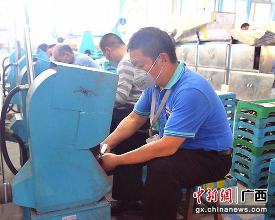 图为蒙征在原料开科车间工作。罗荣玉 摄 图为蒙征在原料开科车间工作。罗荣玉 摄
