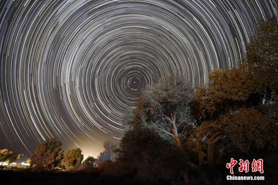 星光下的新疆塔里木盆地若羌胡杨林