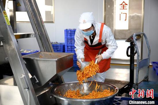 广西螺状元食品科技股份有限公司生产线,工人将酸笋放入自动包装设备。 朱柳融 摄 广西螺状元食品科技股份有限公司生产线,工人将酸笋放入自动包装设备。 朱柳融 摄