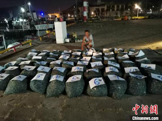 图为非法捕捞的花甲螺 王丽丹 摄 图为非法捕捞的花甲螺 王丽丹 摄