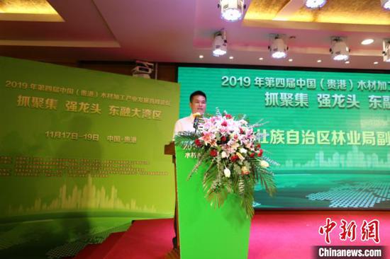 广西壮族自治区林业局副局长陆志星致辞 林浩 摄 广西壮族自治区林业局副局长陆志星致辞 林浩 摄