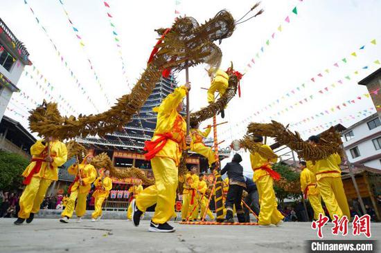图为当地侗族同胞在舞草龙。 潘志祥 摄 图为当地侗族同胞在舞草龙。 潘志祥 摄