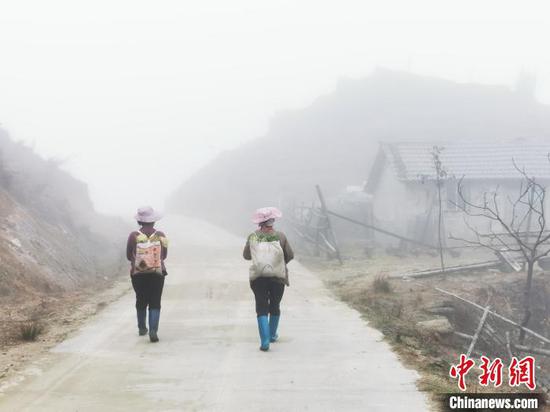 11月28日,村民走在白茫茫的摩天岭牧场里。 李义成 摄 11月28日,村民走在白茫茫的摩天岭牧场里。 李义成 摄