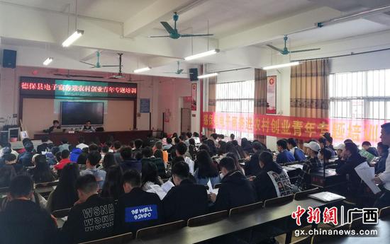 德保县组织电子商务进农村创业青年专题培训