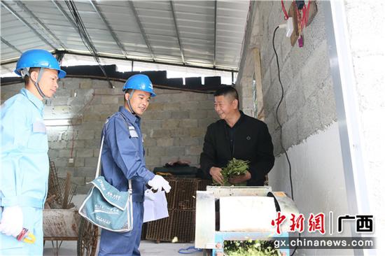 那坡县百南乡规良村规良屯贫困户农国胜用电动桑叶切碎机切桑叶。陈伯鑫 摄 那坡县百南乡规良村规良屯贫困户农国胜用电动桑叶切碎机切桑叶。陈伯鑫 摄
