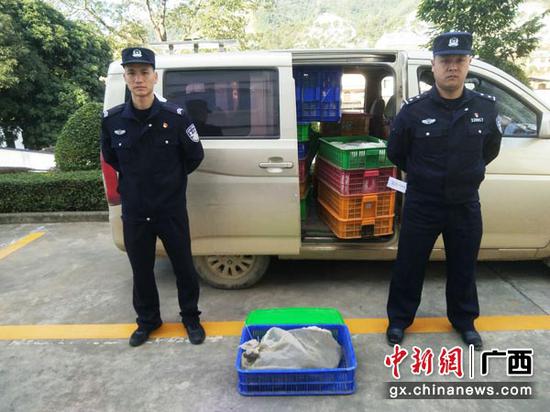 付宇 摄 付宇 摄