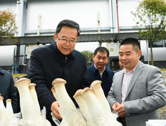 12月3日,孙志刚在道真县同辉食用菌发展有限公司考察。杜朋城 摄