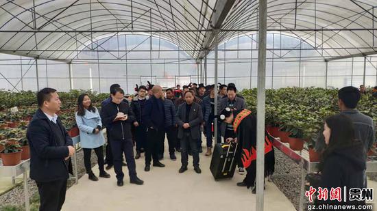 百里杜鵑黨工委委員、宣傳部部長鮑曙光到沙廠鄉興隆村杜鵑花育苗基地現場宣講黨的十九屆四中全會精神。石小杰 攝