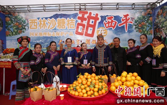 西林电商大集现场 西林电商大集现场