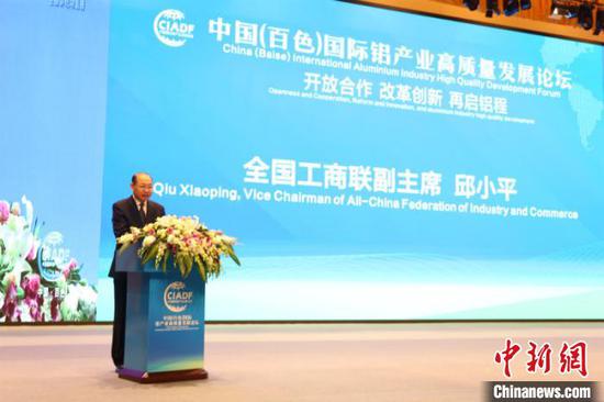 图为全国工商联专职副主席邱小平发言 林浩 摄 图为全国工商联专职副主席邱小平发言 林浩 摄