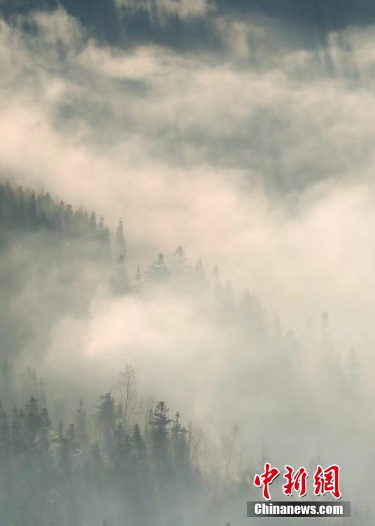 1月5日，贵州毕节迎来大雾天气，整个城市如云中楼阁一般，若隐若现。大雾给冬天点缀出别样美景，田野和城市构成了一幅幅美丽的画卷。文/图 石小杰 王纯亮