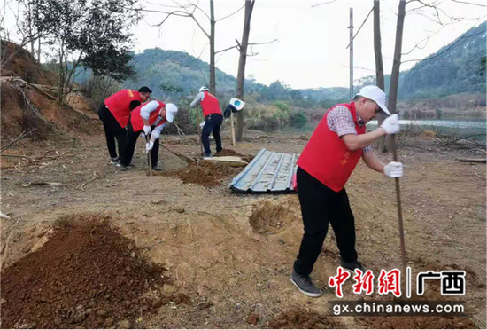 图为志愿者为鸡场扩建挖坑打桩。 图为志愿者为鸡场扩建挖坑打桩。