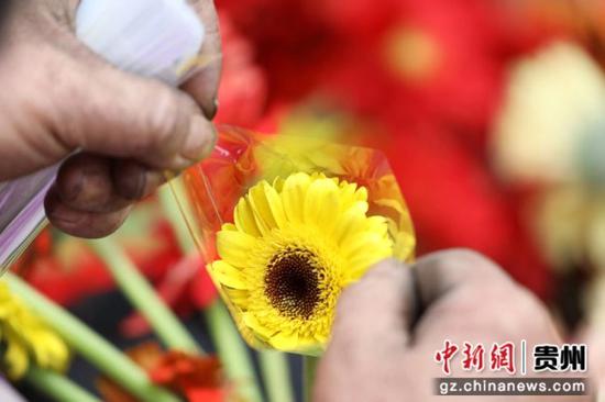 贵州省赤水市宝源乡联奉村村民在包装鲜花。 王长育 摄 贵州省赤水市宝源乡联奉村村民在包装鲜花。 王长育 摄