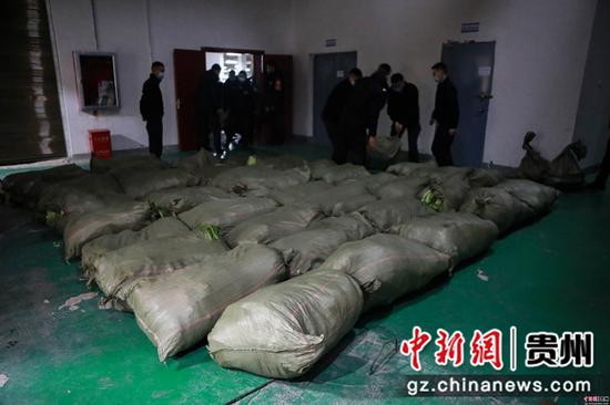七星关公安分局的仓库里堆满了从货车上下载的大白菜 陈曦摄 七星关公安分局的仓库里堆满了从货车上下载的大白菜 陈曦摄