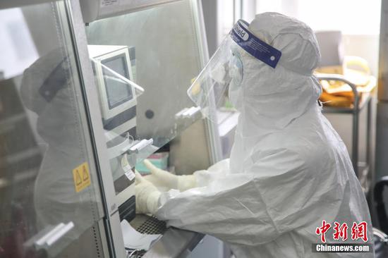 2月13日,贵州省人民医院检验科检测人员在检测核酸。作为贵州省21家新冠肺炎核酸定点检测机构之一,该医院检验科10名检测人员分成三组,每天24小时轮班倒,不间断地进行检测。现医院每日检测量为100至200例,能实现当日采样当日送检。中新社记者 瞿宏伦 摄 2月13日,贵州省人民医院检验科检测人员在检测核酸。作为贵州省21家新冠肺炎核酸定点检测机构之一,该医院检验科10名检测人员分成三组,每天24小时轮班倒,不间断地进行检测。现医院每日检测量为100至200例,能实现当日采样当日送检。中新社记者 瞿宏伦 摄