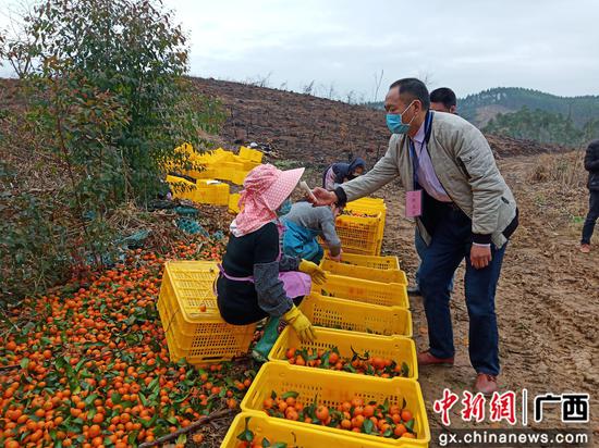 四排镇工作四排镇工作人员到地头给群众量体温。 四排镇工作四排镇工作人员到地头给群众量体温。