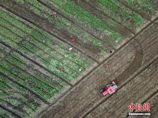 2月18日,航拍贵州黔西林泉镇花卉苗木基地春耕繁忙景象。雨水时节将至,贵州省毕节市黔西县的农户在做好疫情防控的同时,抢抓农时,对辣椒、花卉苗木基地开展育苗、松土等春耕作业。中新社记者 瞿宏伦 摄 2月18日,航拍贵州黔西林泉镇花卉苗木基地春耕繁忙景象。雨水时节将至,贵州省毕节市黔西县的农户在做好疫情防控的同时,抢抓农时,对辣椒、花卉苗木基地开展育苗、松土等春耕作业。中新社记者 瞿宏伦 摄