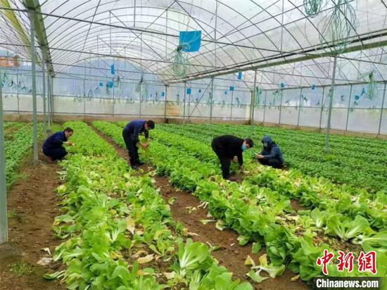 铜仁市万山区各地抓好春耕备耕。 吴承攀 摄 铜仁市万山区各地抓好春耕备耕。 吴承攀 摄