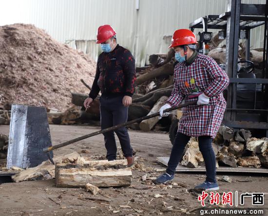 广西融水华林木业有限公司的工人们在各自岗位上进行劳作。 广西融水华林木业有限公司的工人们在各自岗位上进行劳作。