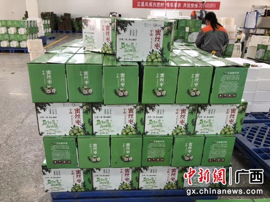 电商平台整装待发的平南大青枣