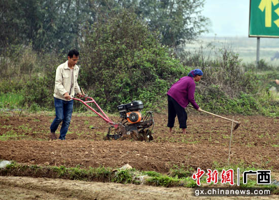 明江镇人口_江船火独明图片(3)