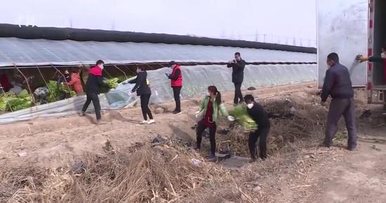 新疆巴州消防员心系武汉 联系家乡村民捐赠7.5吨蔬菜