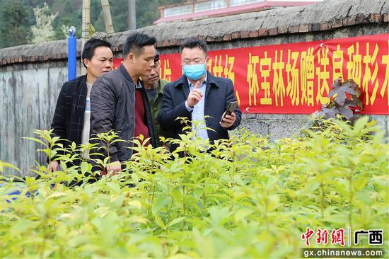 貝江河林場場長賀錦鋒向群眾介紹苗木種植技術。覃美 攝