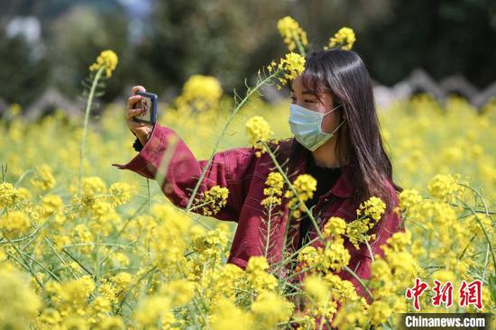 市民在油菜花丛中自拍。 瞿宏伦 摄 市民在油菜花丛中自拍。 瞿宏伦 摄