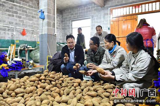 图为大唐广西公司采购当地农副产品。大唐广西供图 图为大唐广西公司采购当地农副产品。大唐广西供图