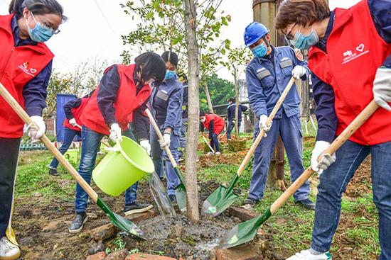 图为参加植树的志愿者们为树培土施肥.何华文 摄