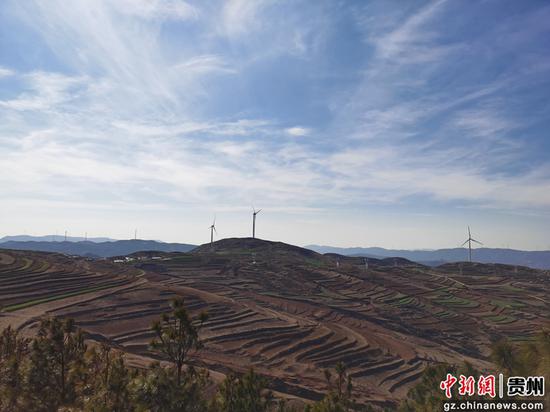 已完成土地流转的蔬菜基地 已完成土地流转的蔬菜基地