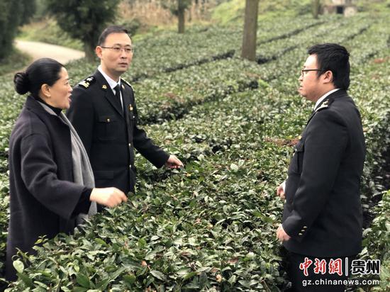 毕节海关现场指导茶叶基地标准化建设。