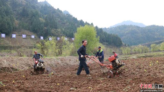 黔西县中建乡营盘村生态大米基地进行耕地 周顺和 摄 黔西县中建乡营盘村生态大米基地进行耕地 周顺和 摄