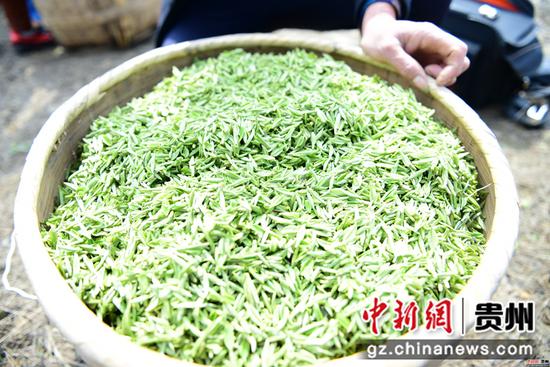 徐学练 摄 徐学练 摄