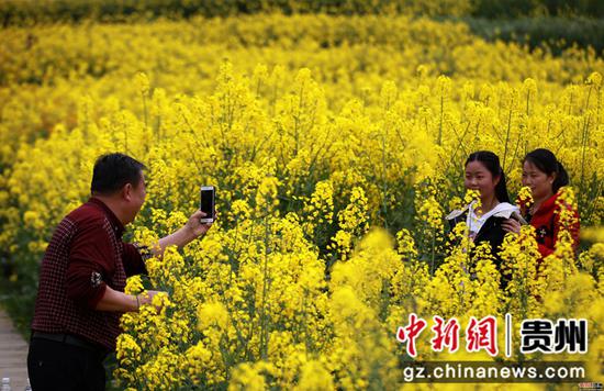 2020年3月18日,游客在贵州省毕节市黔西县洪水镇解放村赏花拍照。史开心 摄 2020年3月18日,游客在贵州省毕节市黔西县洪水镇解放村赏花拍照。史开心 摄