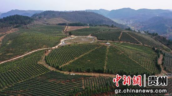 岑巩县天马采茶 李昌焯摄 岑巩县天马采茶 李昌焯摄