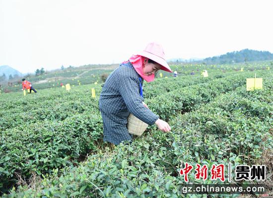 徐学练 摄 徐学练 摄