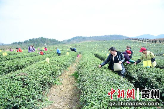 徐学练 摄 徐学练 摄