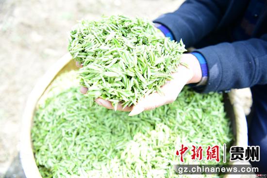 徐学练 摄 徐学练 摄