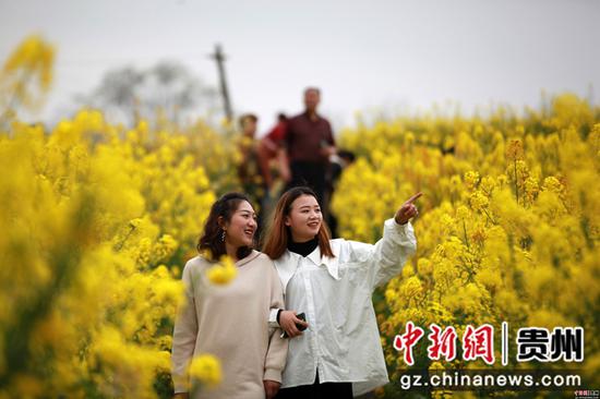 2020年3月18日,游客在贵州省毕节市黔西县洪水镇解放村观赏油菜花。史开心 摄 2020年3月18日,游客在贵州省毕节市黔西县洪水镇解放村观赏油菜花。史开心 摄