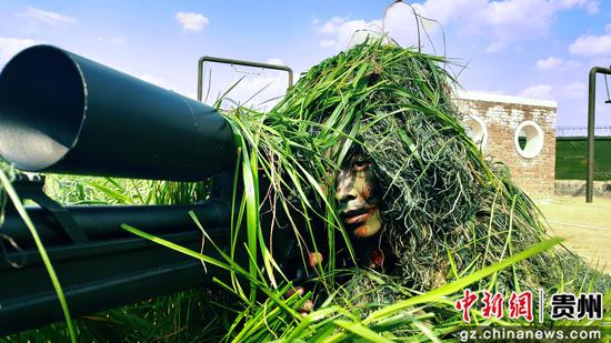 狙击手在进行潜伏伪装训练 狙击手在进行潜伏伪装训练