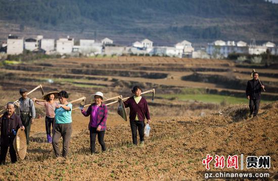 图为农民耕种完收工回家 图为农民耕种完收工回家
