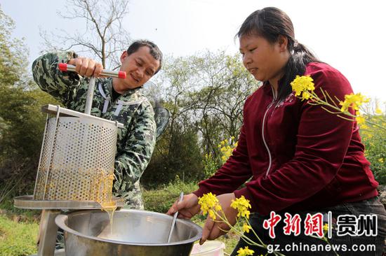 贵州省毕节市黔西县雨朵镇登高社区科技副主任方平在花间指导农户采蜜。 贵州省毕节市黔西县雨朵镇登高社区科技副主任方平在花间指导农户采蜜。