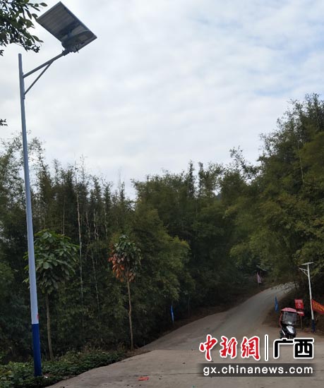 已安装好路灯的村道 已安装好路灯的村道