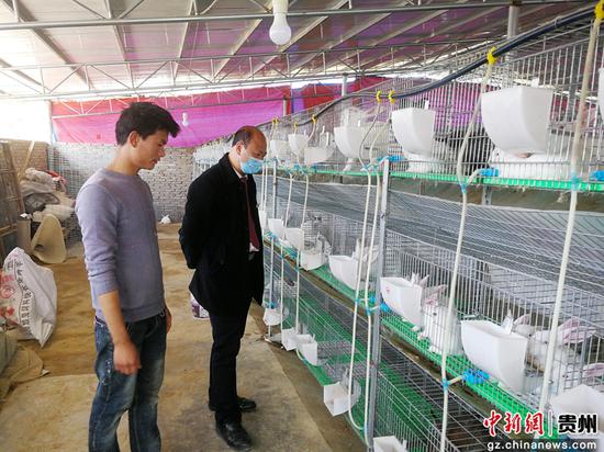 黄平农商银行一碗水支行10万元“复工复产贷”支持水淹塘村韩家院组向治路发展肉兔养殖 黄平农商银行一碗水支行10万元“复工复产贷”支持水淹塘村韩家院组向治路发展肉兔养殖